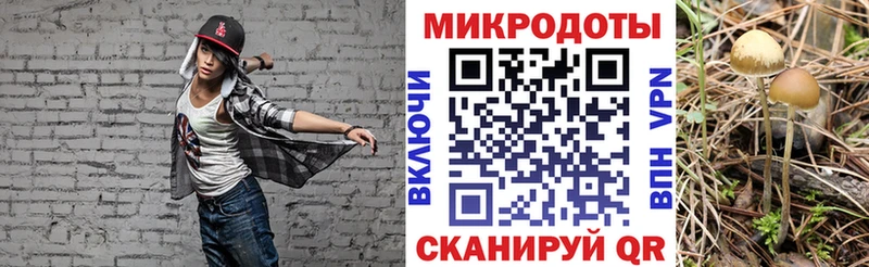 Галлюциногенные грибы GOLDEN TEACHER  закладки  Кириши 
