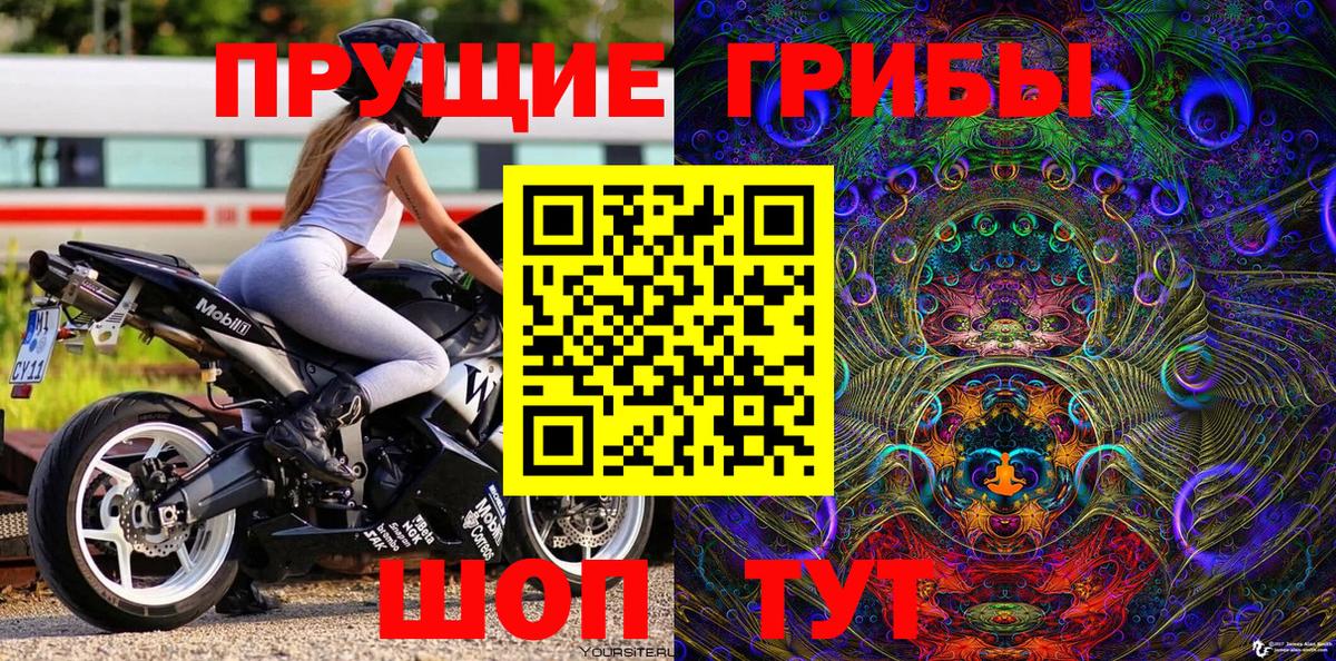 Галлюциногенные грибы GOLDEN TEACHER Кириши