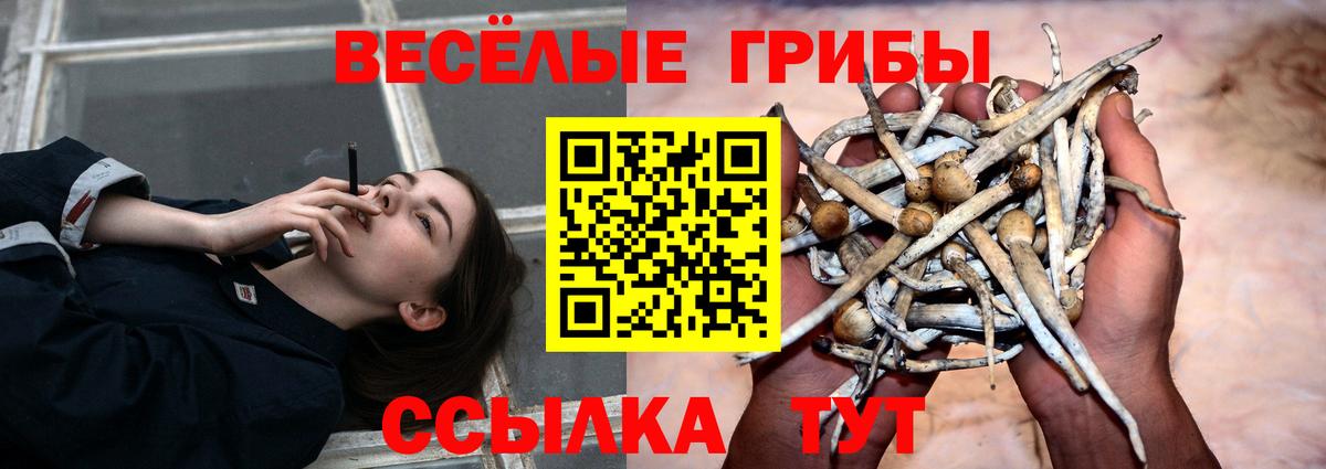 Галлюциногенные грибы прущие грибы  Вход с VPN  Кириши  Псилоцибиновые грибы Magic Shrooms 